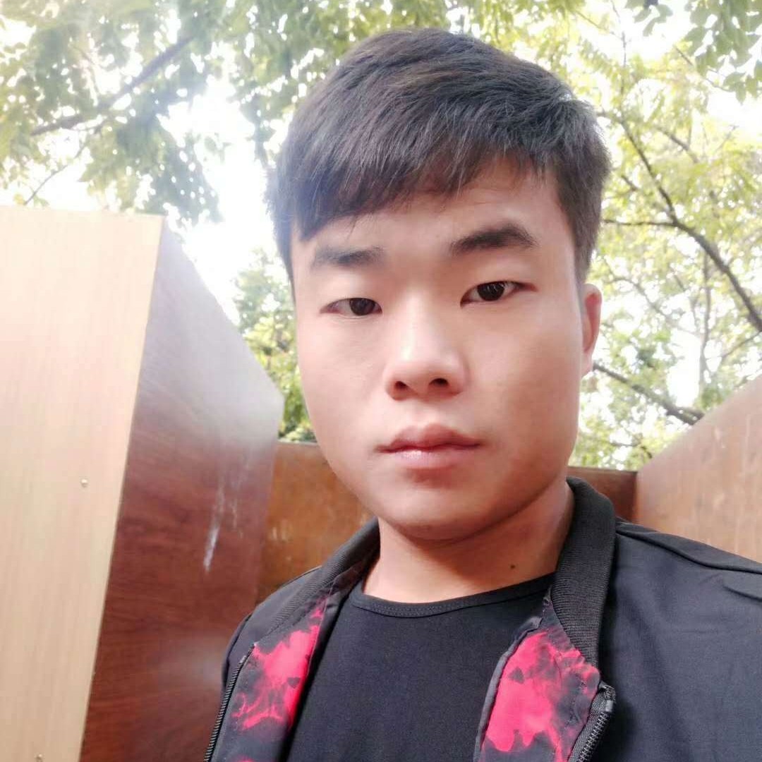 生动爱恋蚂蚁的照片