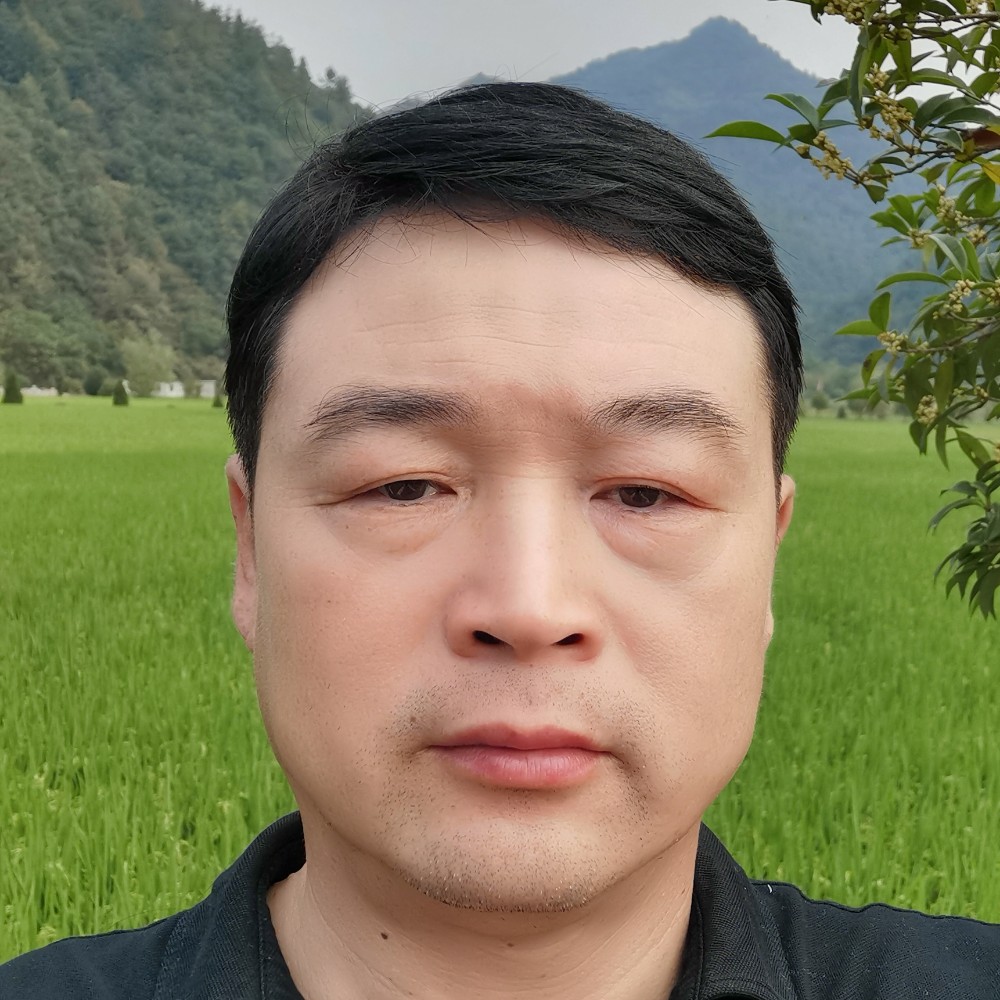 忘忧回首友好的照片
