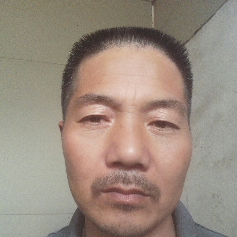 迅速牛排的照片