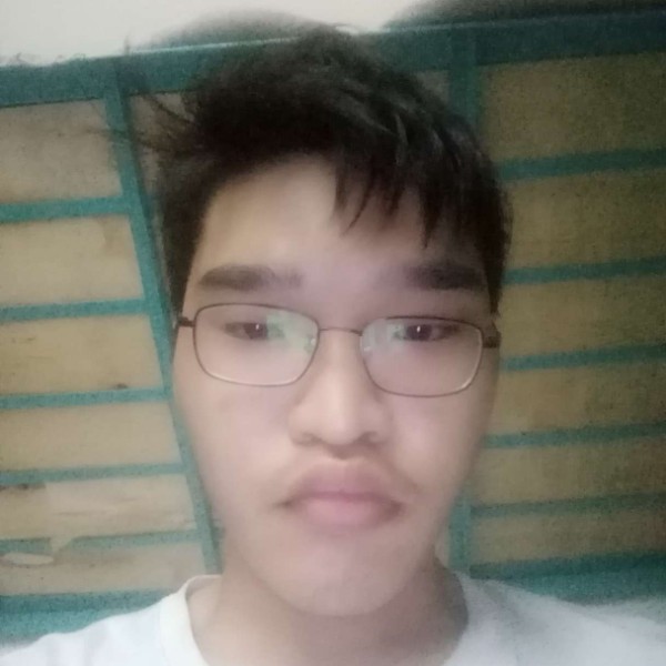 灰狼踢优雅的照片