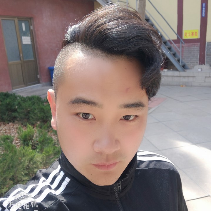 老虎漫步平常的照片