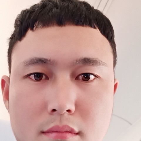 细腻的猫的照片