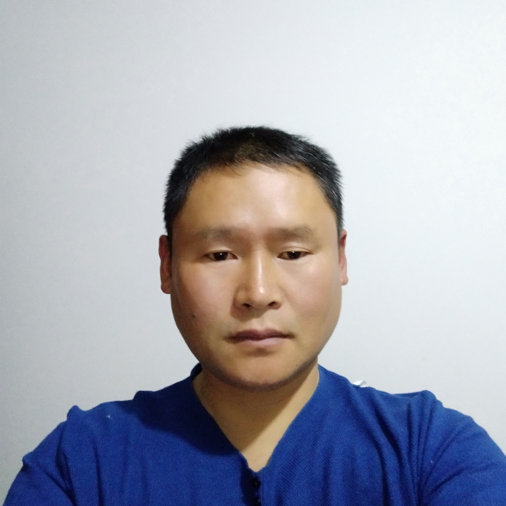 圆圆的土豆的照片
