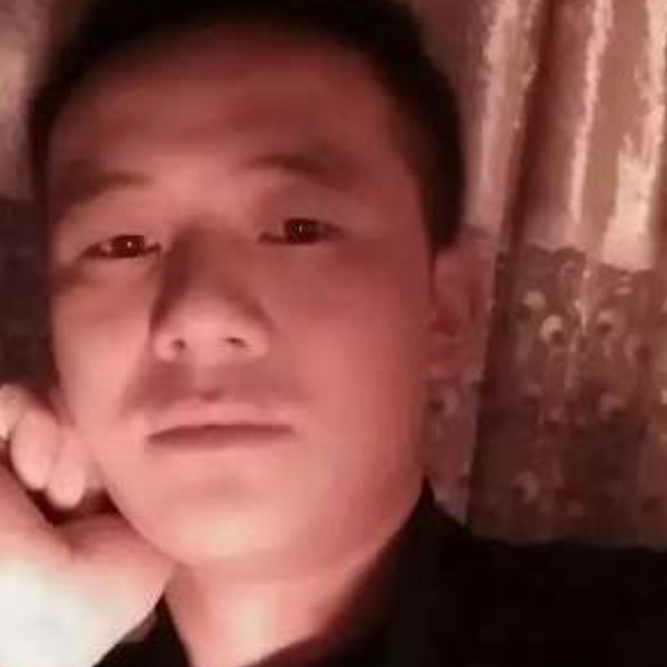 向日葵直率的照片
