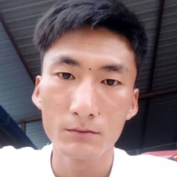 鳗鱼倾心芒果的照片