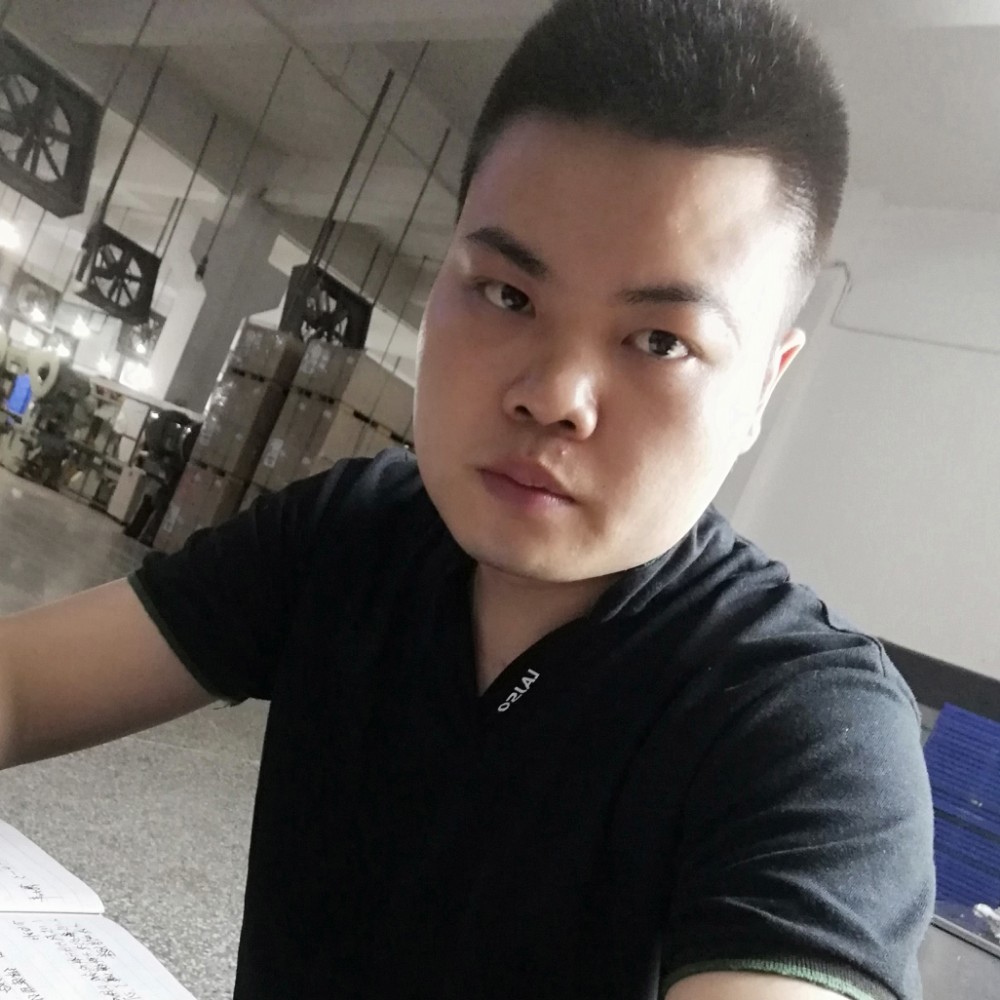 心不在飞翔的照片