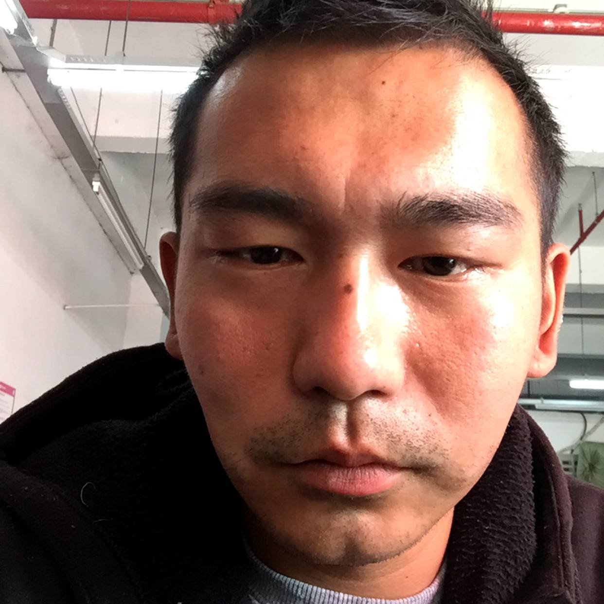 狂野有飞鸟的照片