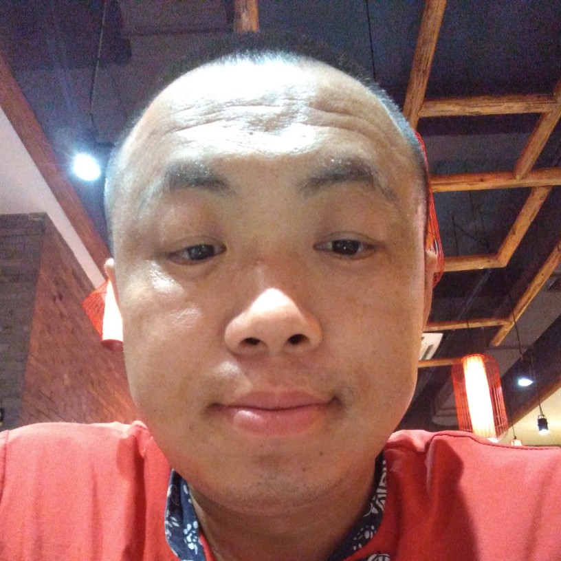 敏感倾心小松鼠的照片