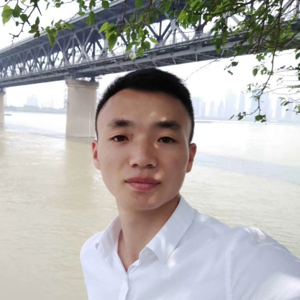 梅花强自苦寒来的照片