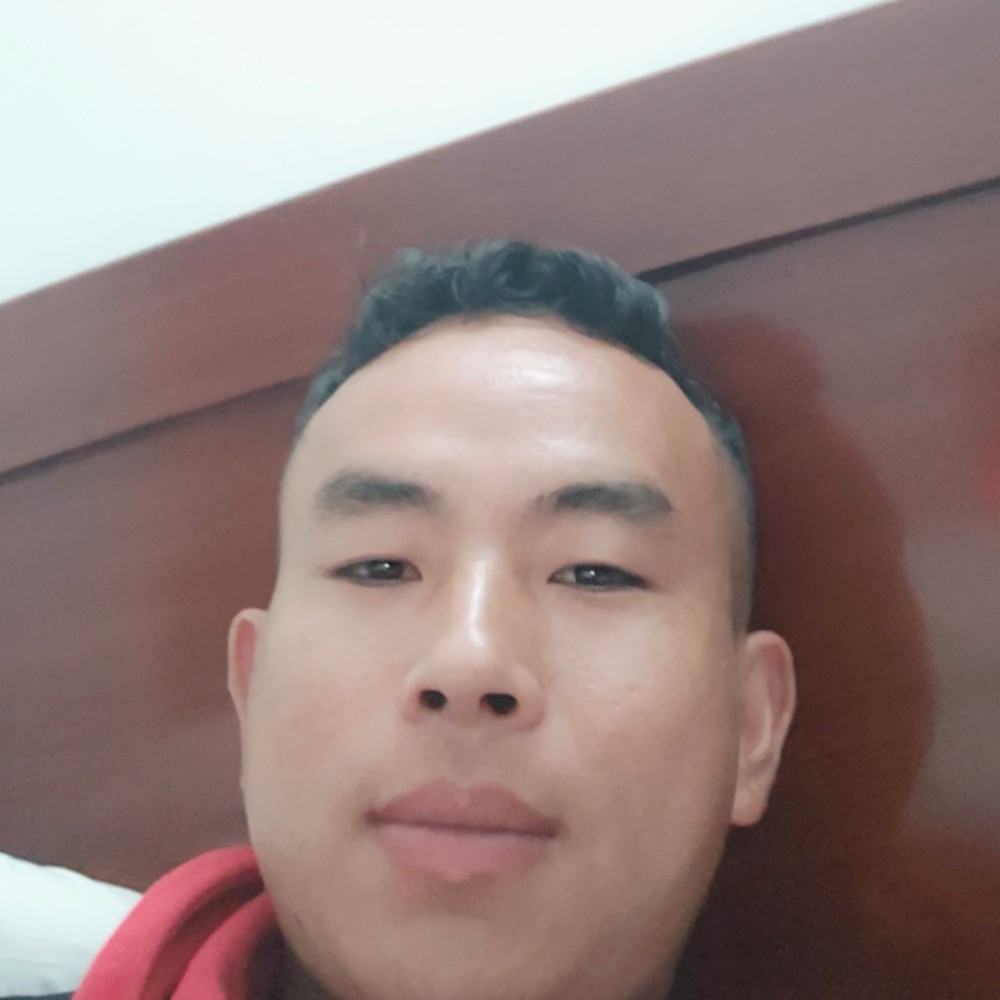 为爱拼搏的小绵羊的照片