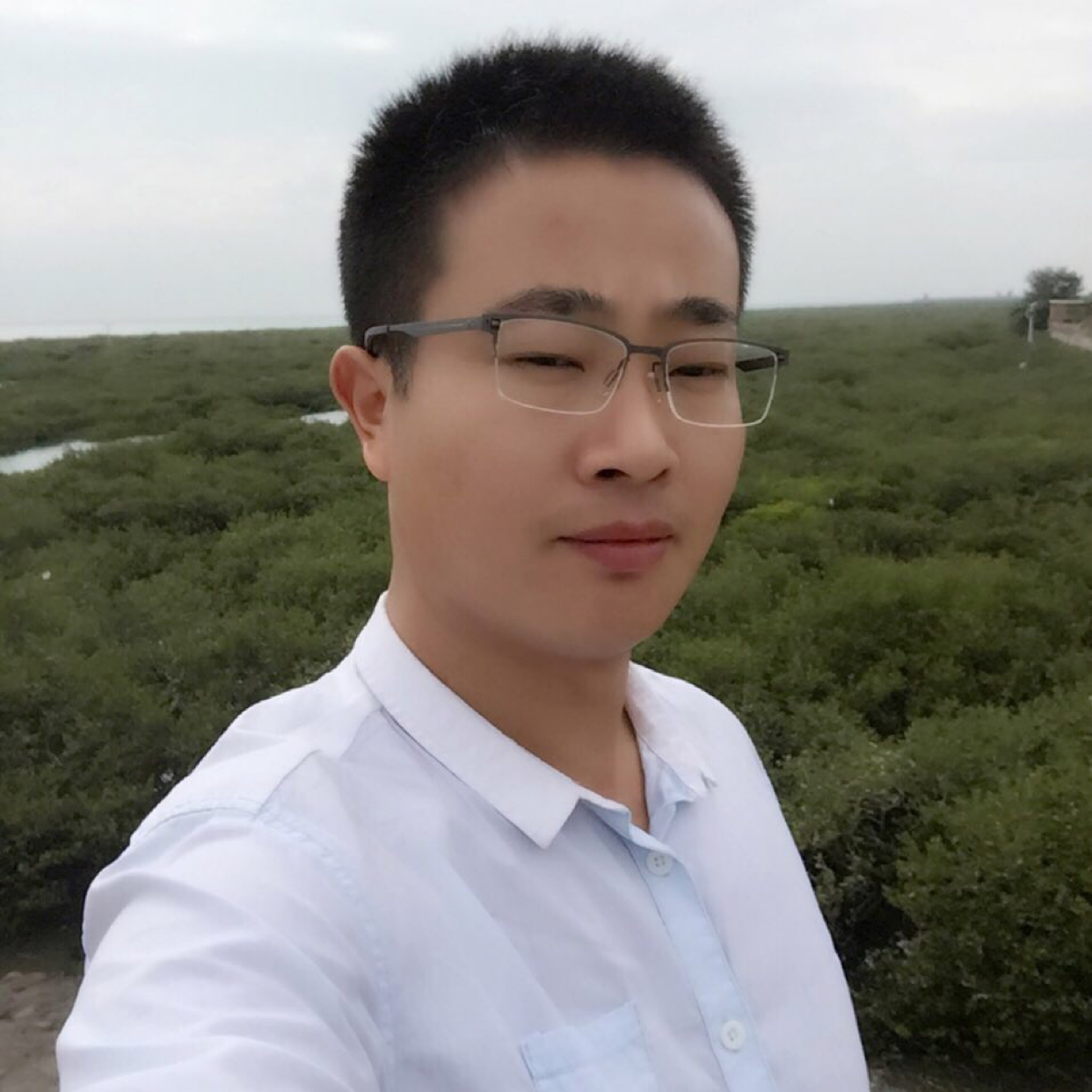 默默拿晨阳的照片