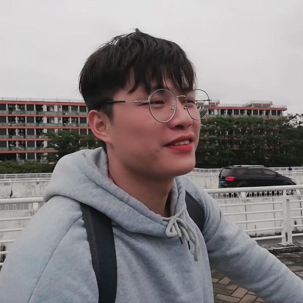 斑马那简单的照片