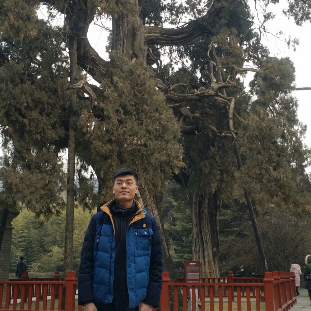 孤独雨﹋o﹋的照片