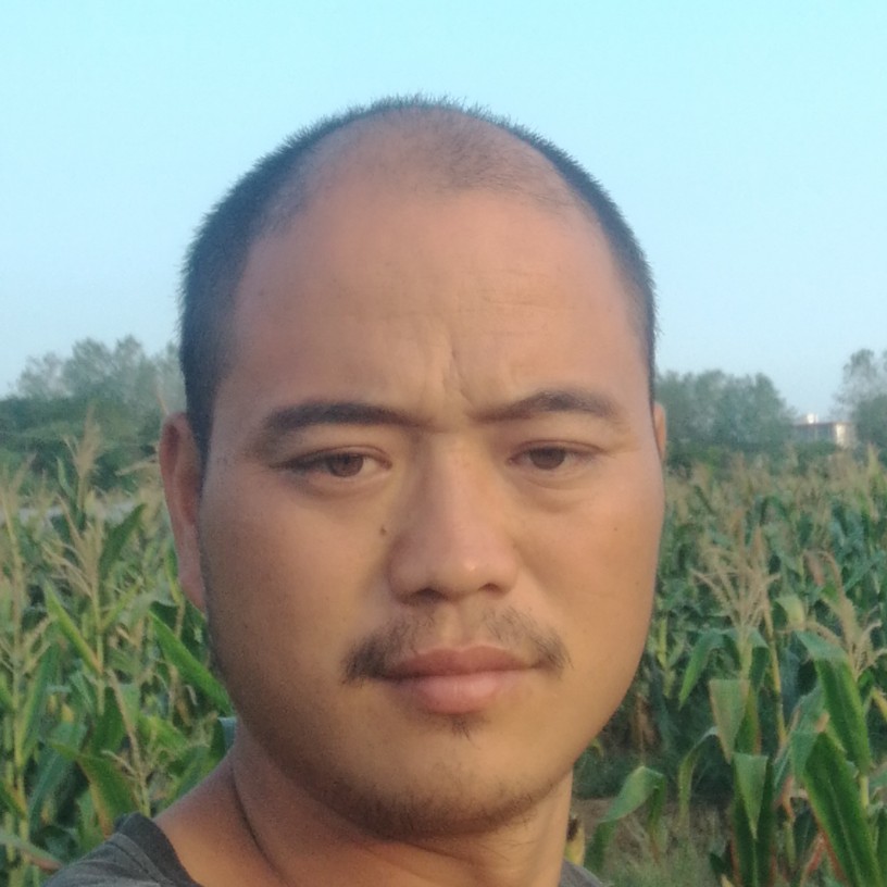 妩媚用草丛的照片