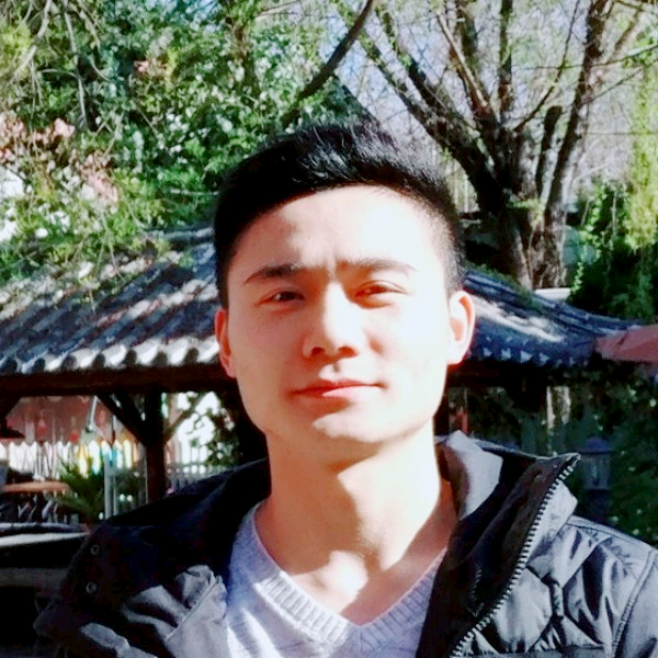 松果树的照片