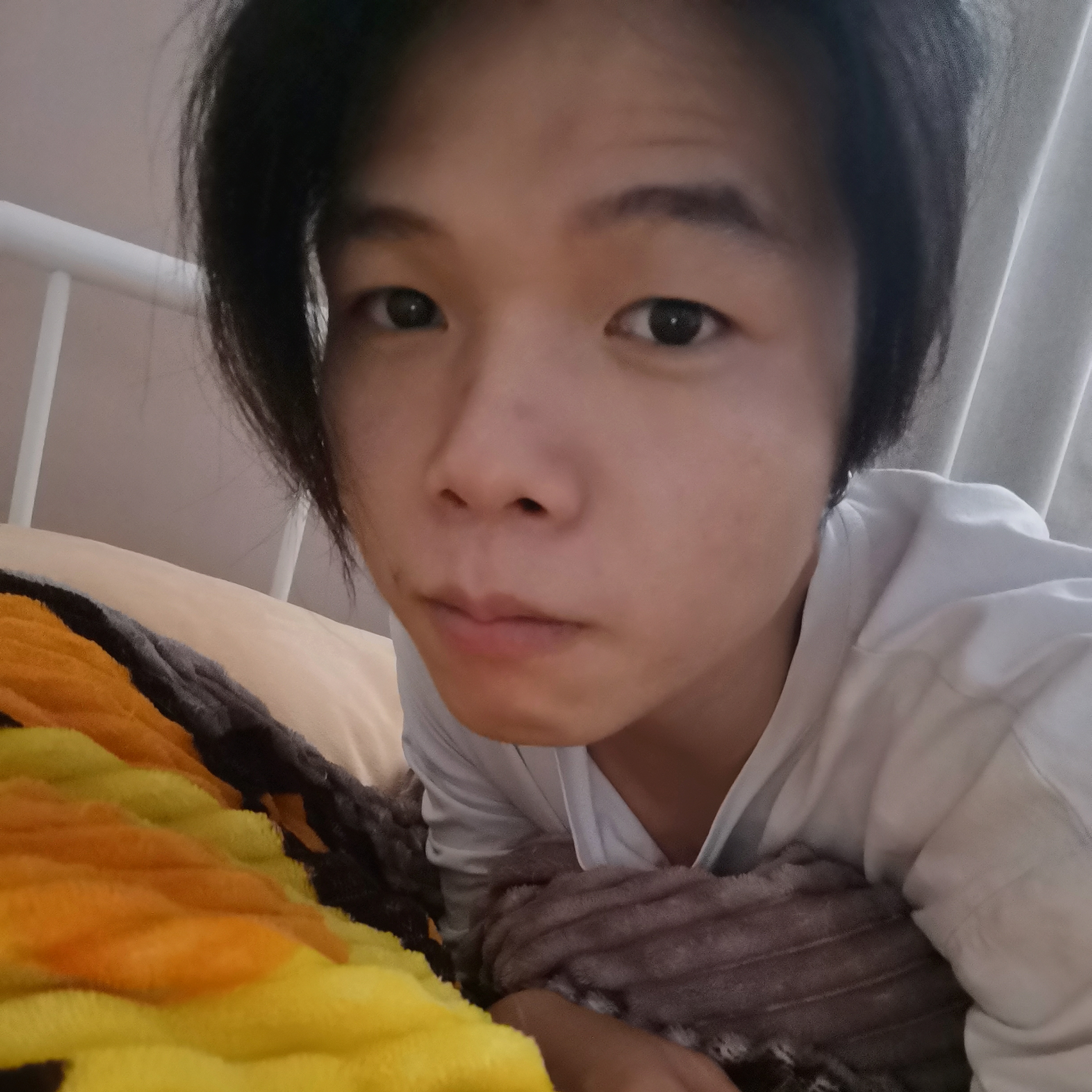 夜願的照片