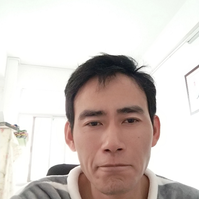 现代森槿的照片