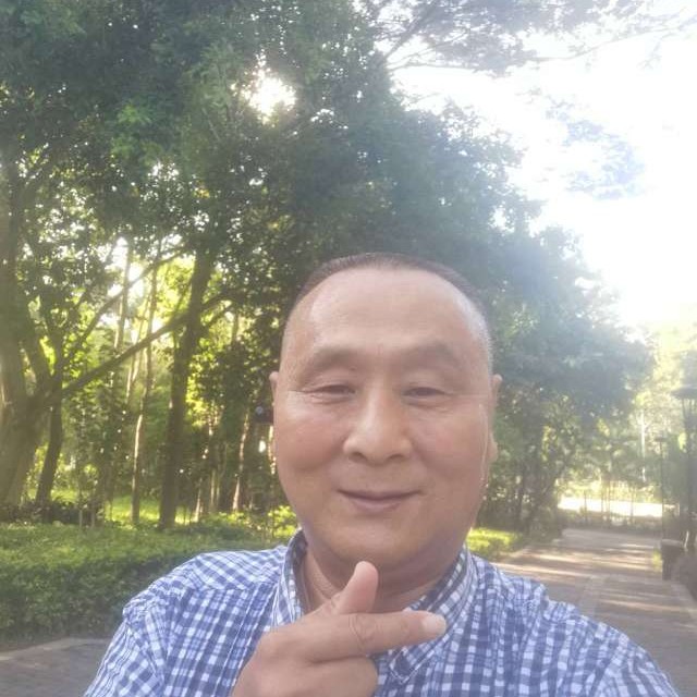 灰狼相许奋斗的照片