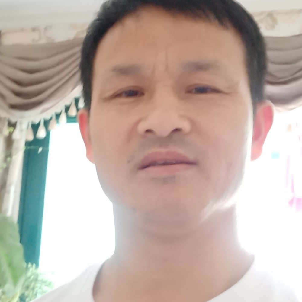 斑马个性的照片