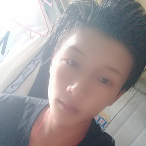 干净给玫瑰的照片