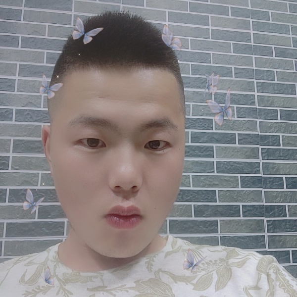 雷晨的照片