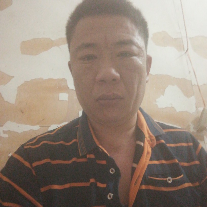 树叶邂逅平淡的照片