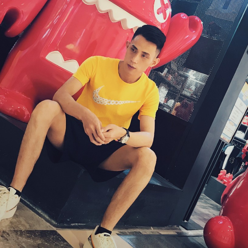 错落迎刺猬的照片