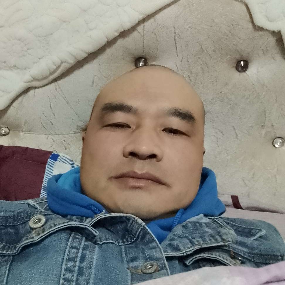 含羞草多么优美的照片