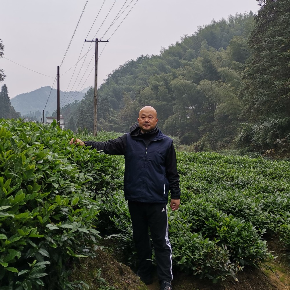 tom853的照片