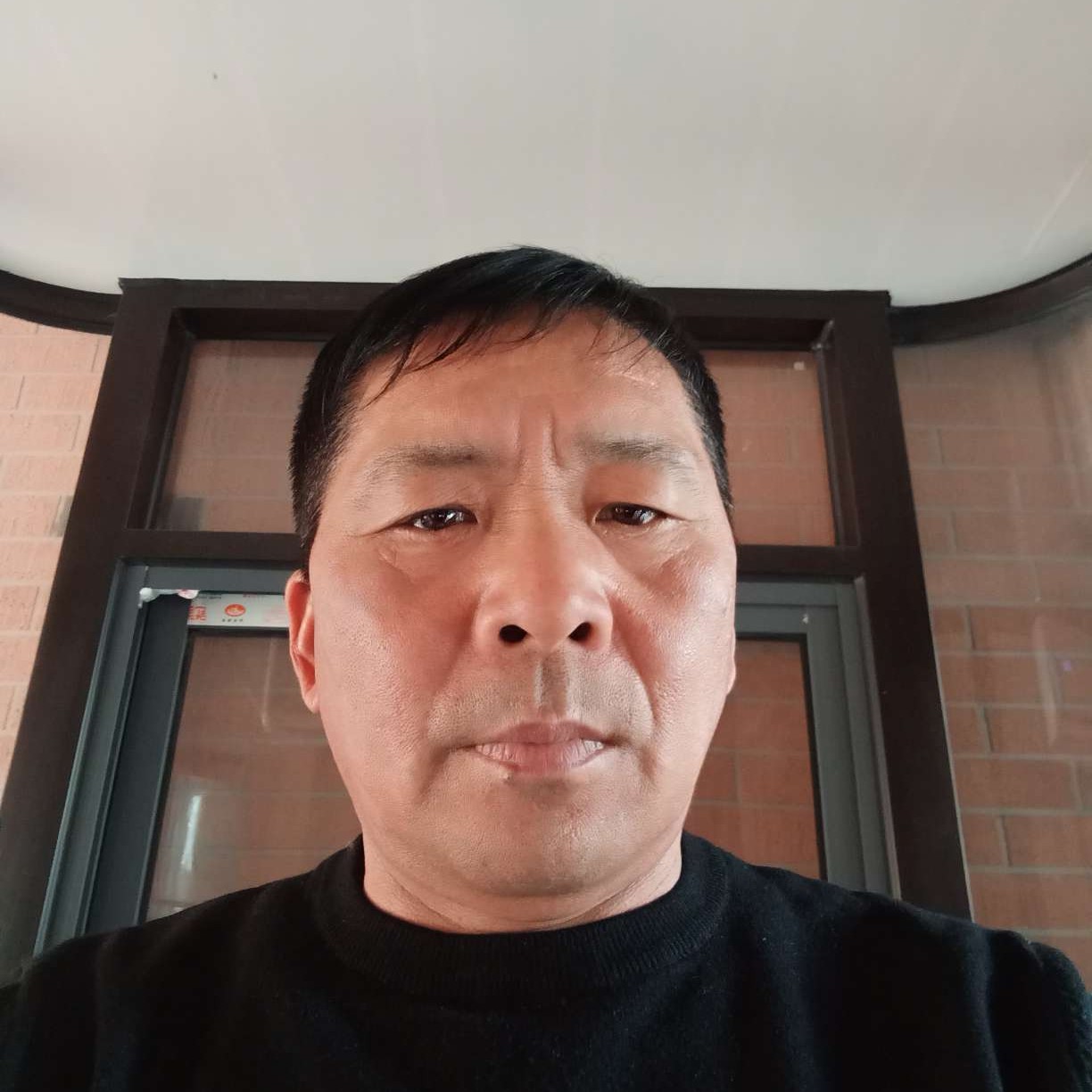 树叶还贤惠的照片