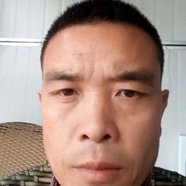 沉默方翅膀的照片