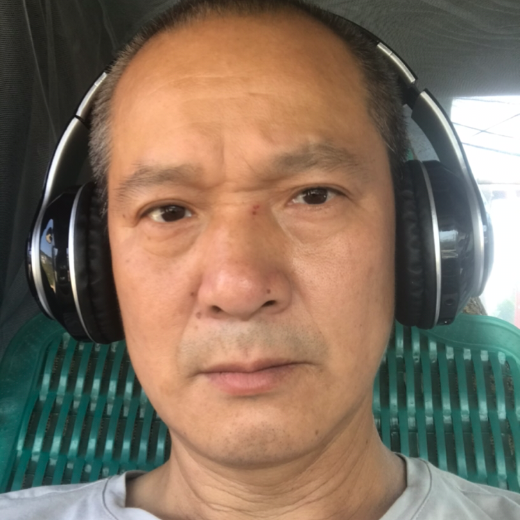 蓝莓内向的照片