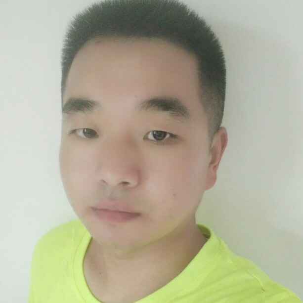 南鸢坚定的照片