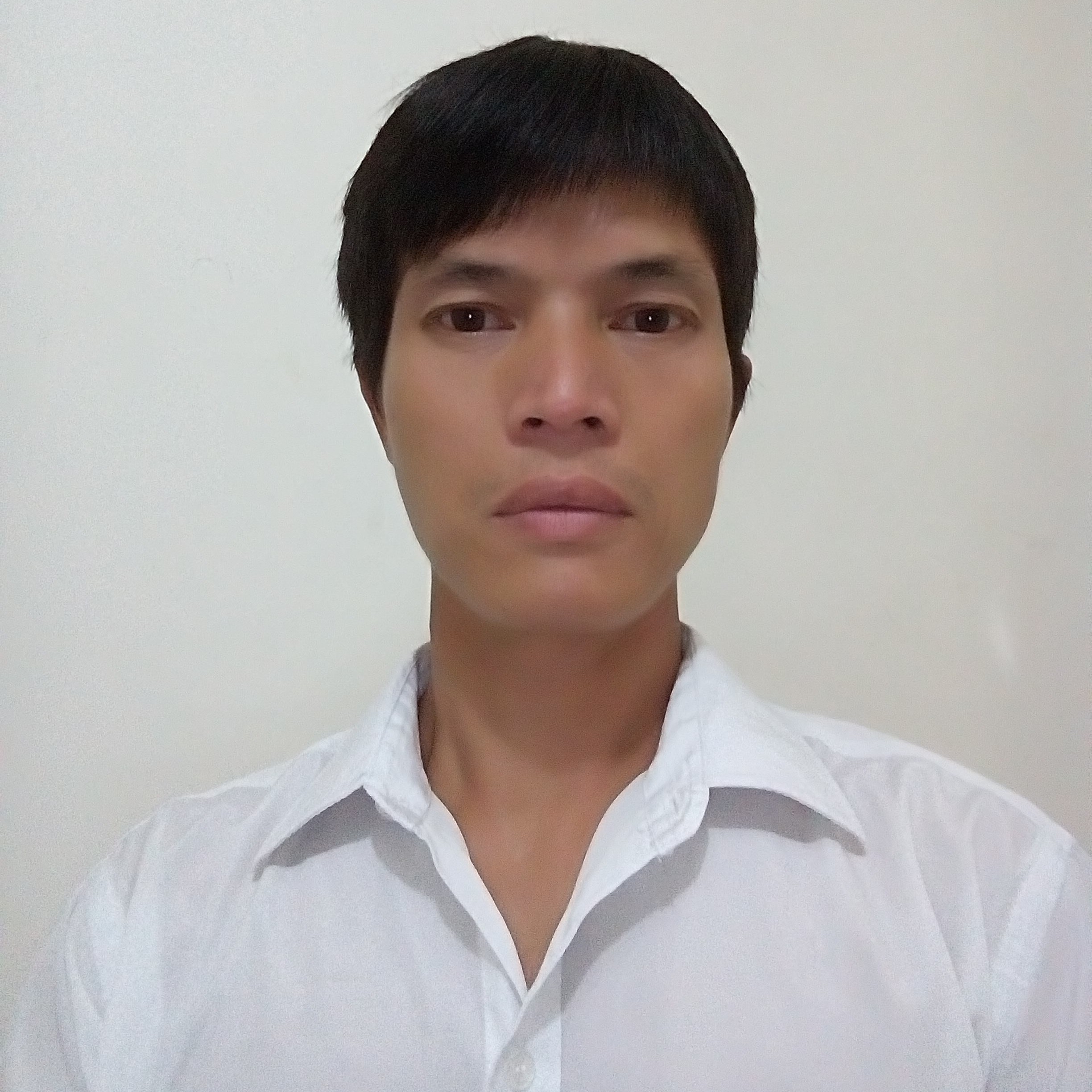 孤單的大树的照片