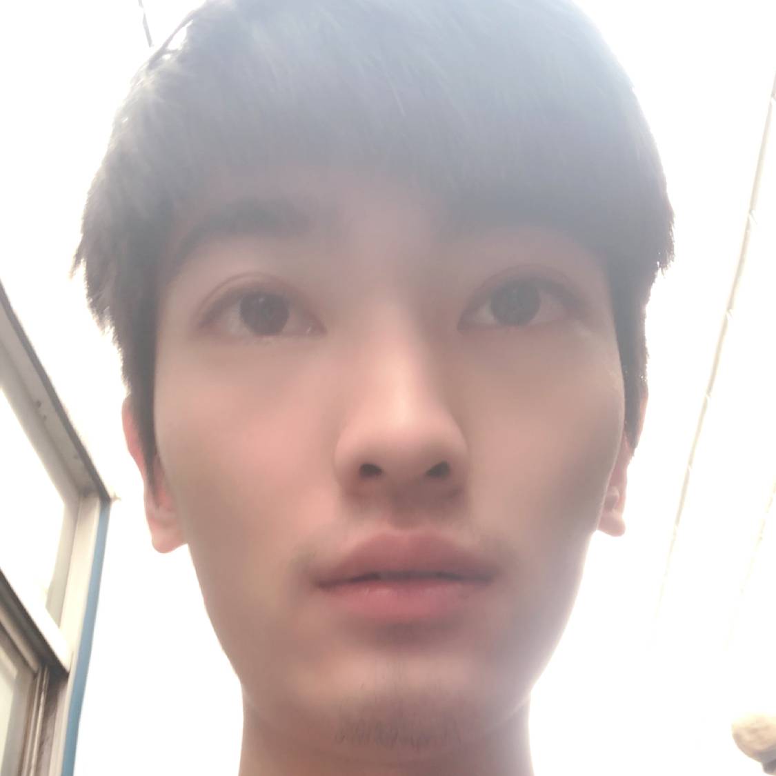 长颈鹿漫步缠绵的照片