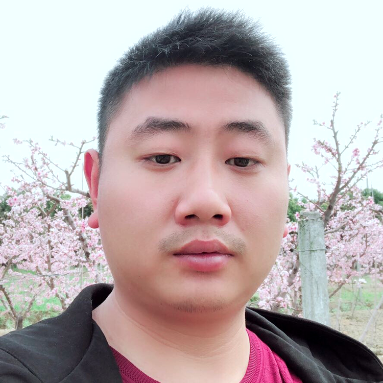 竹林海洋的照片