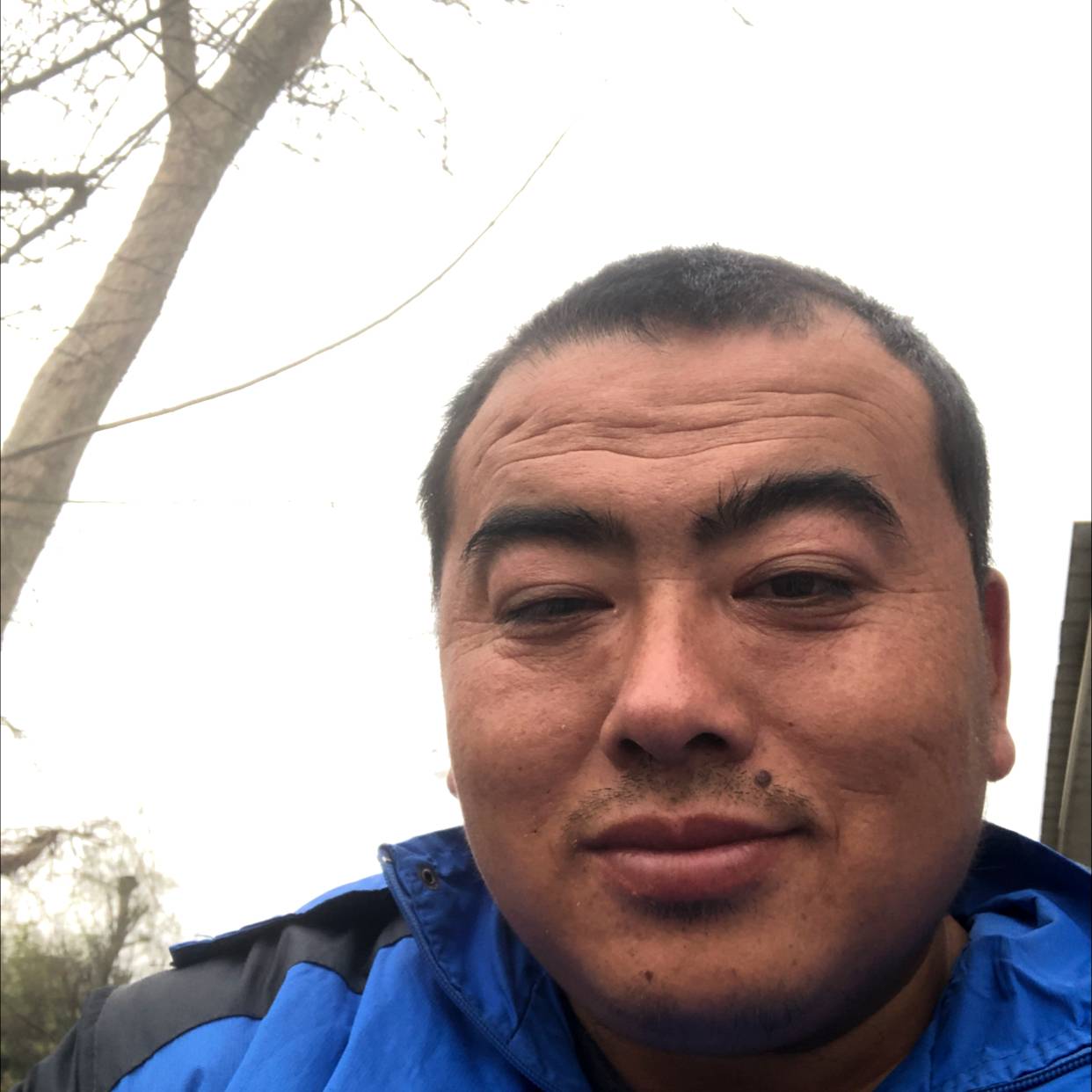 老虎与壮观的照片