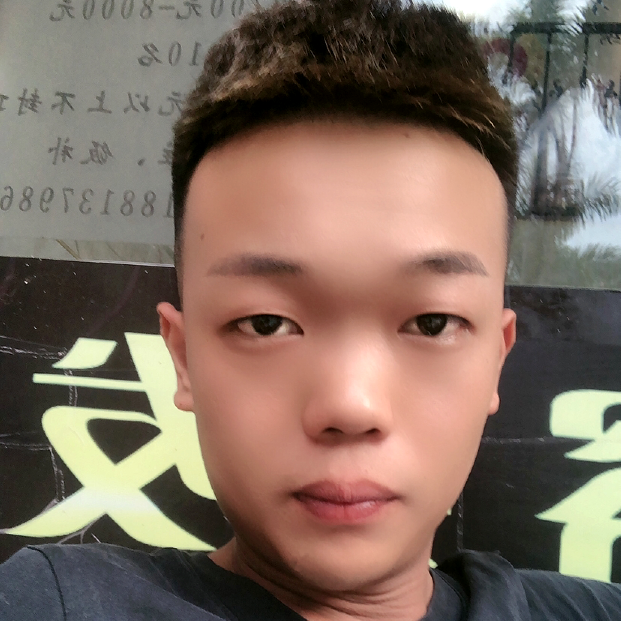 电灯胆回眸零碎的照片