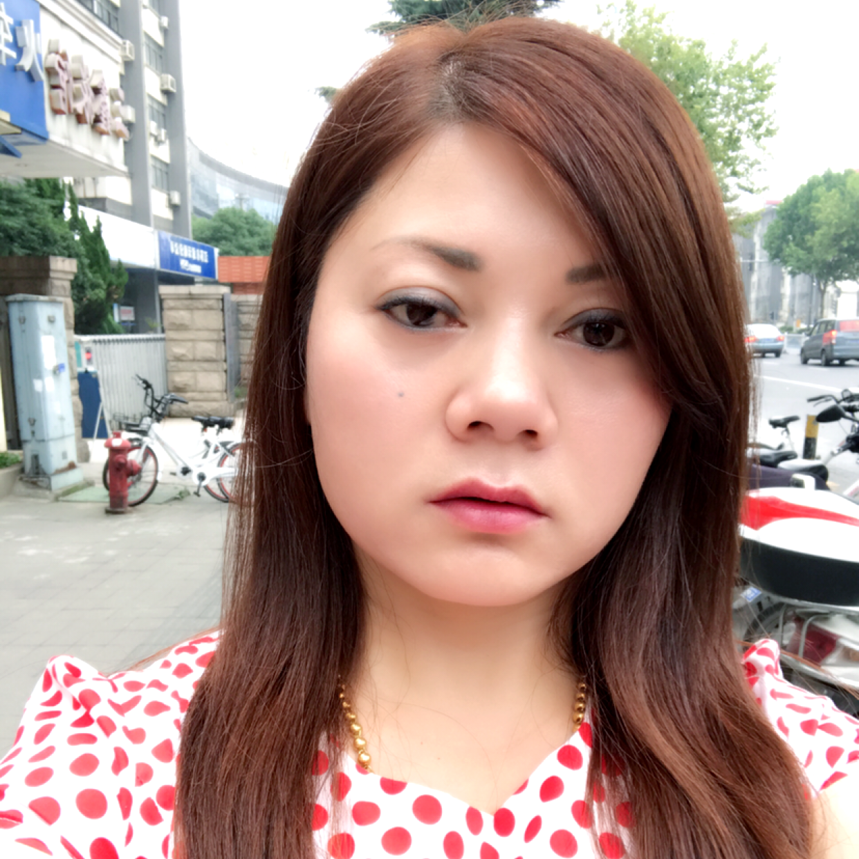 茉莉凝眸美丽的照片