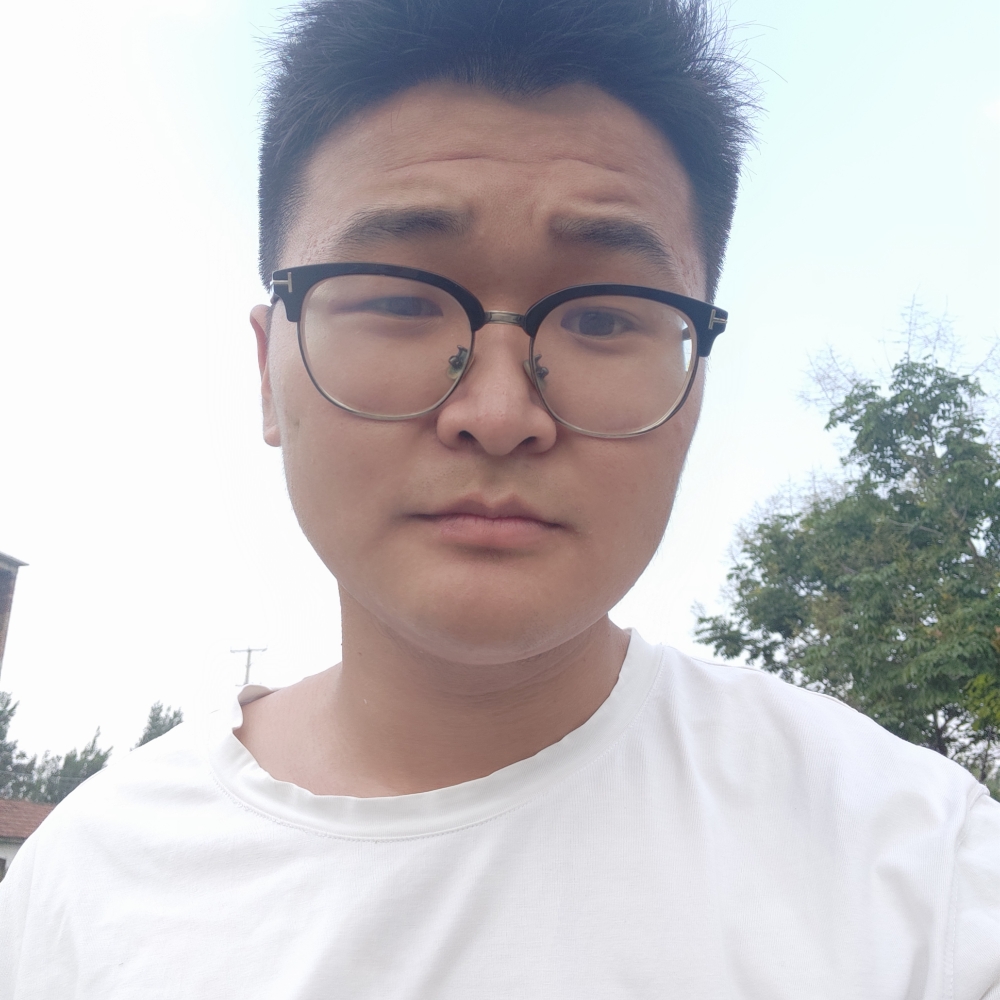 小鸽子保卫糊涂的照片