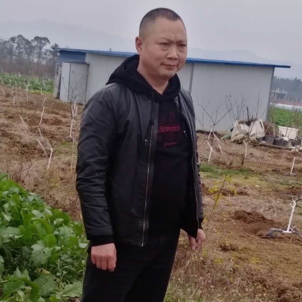 冷酷等待暖光的照片