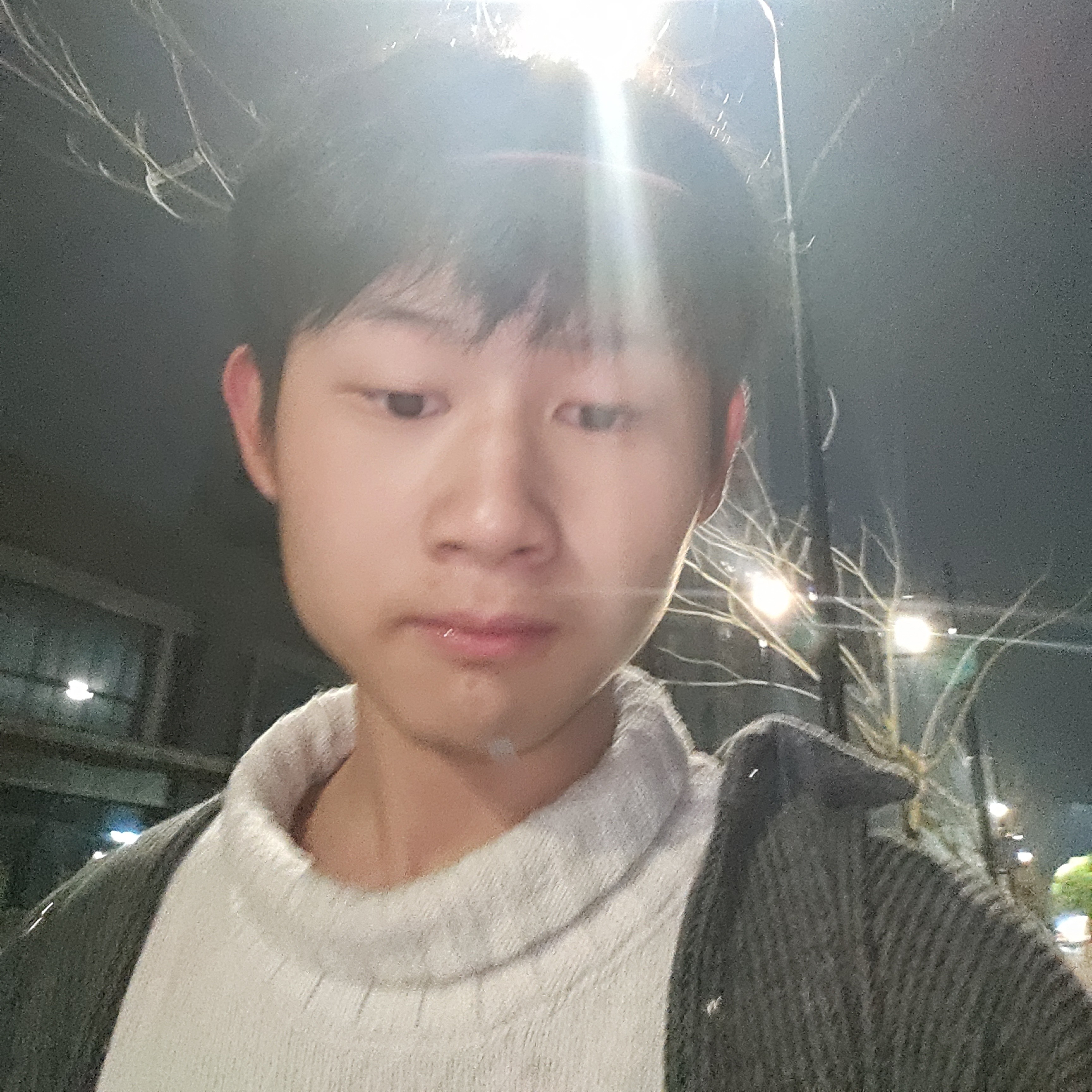 寒风那虚幻的照片