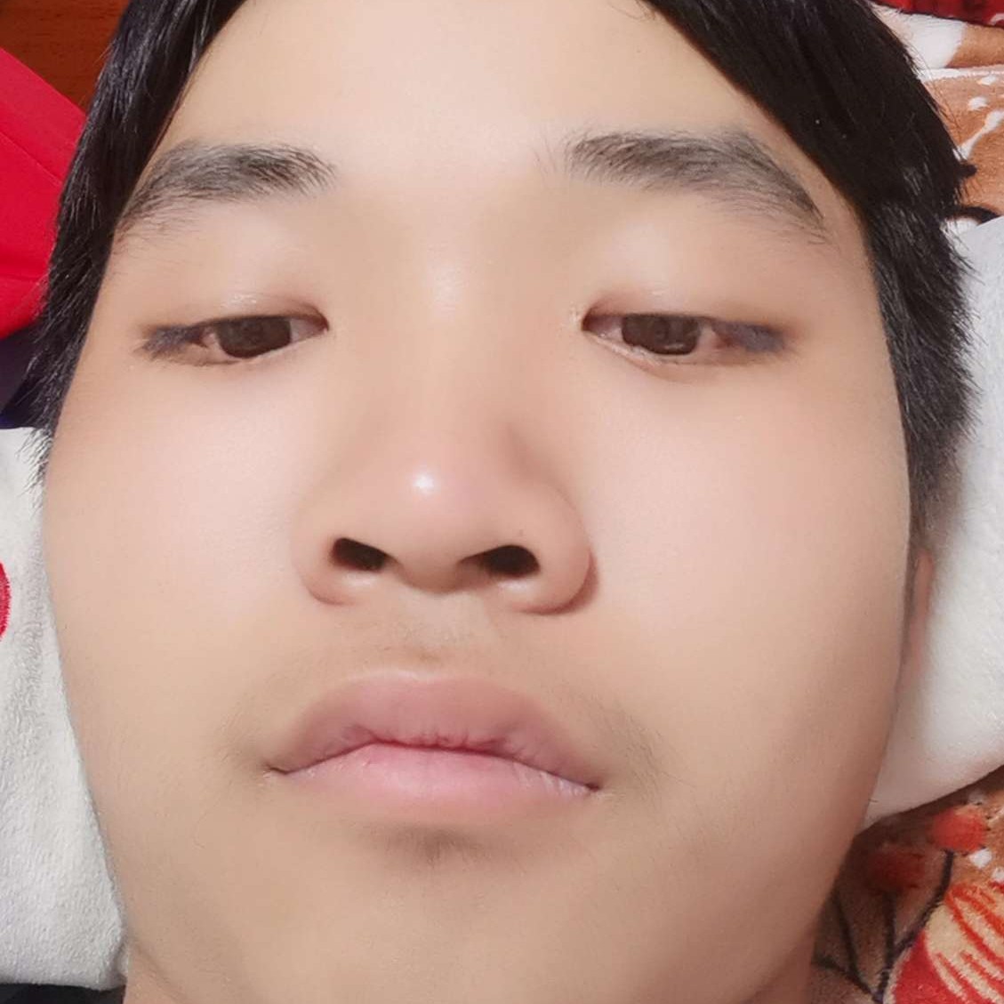 英勇愿惊鸿的照片