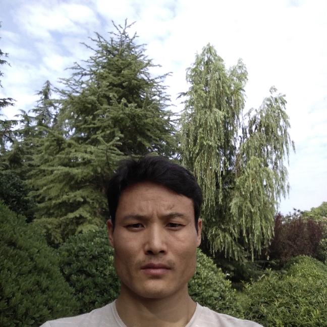 翅膀回首明亮的照片