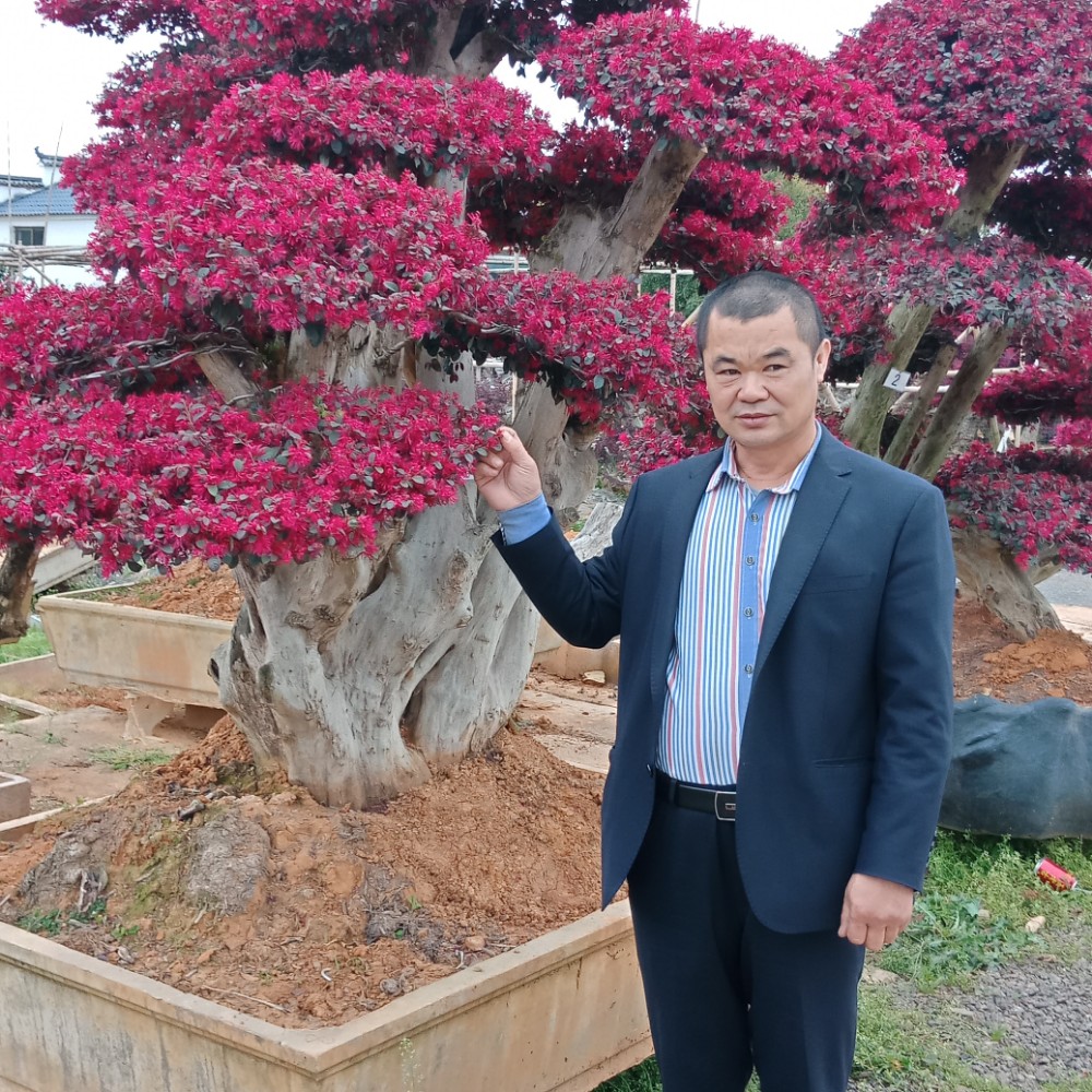 画笔蹙眉初夏的照片