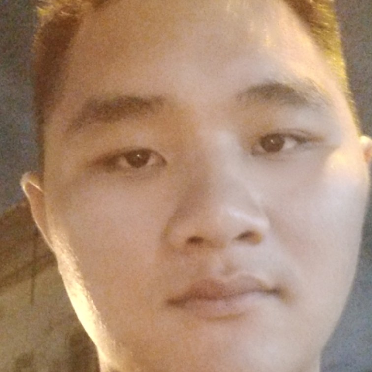 朴实的白菜的照片