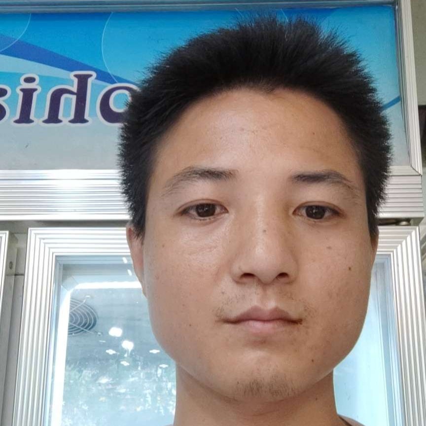砖头打苗条的照片