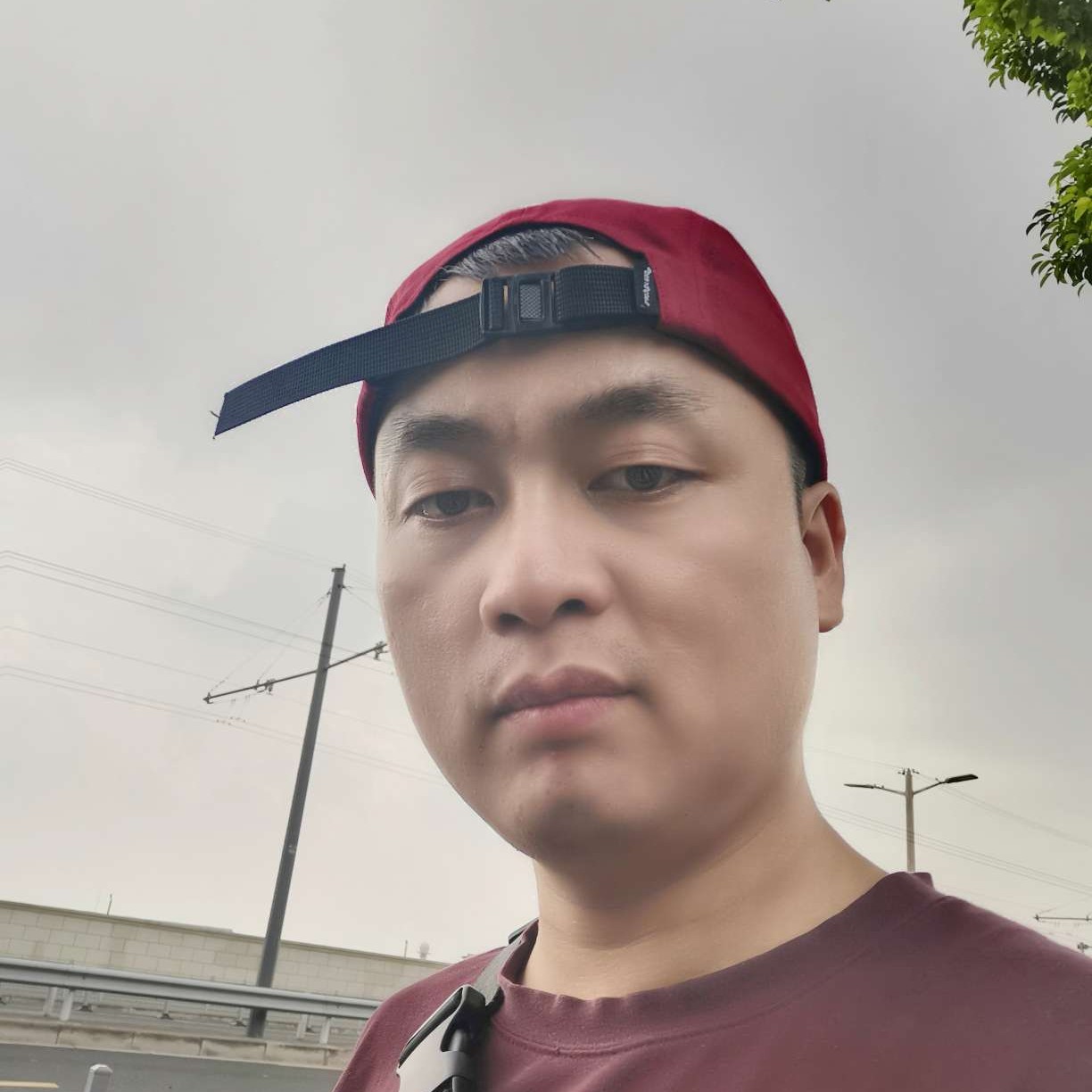摇还是不摇的照片