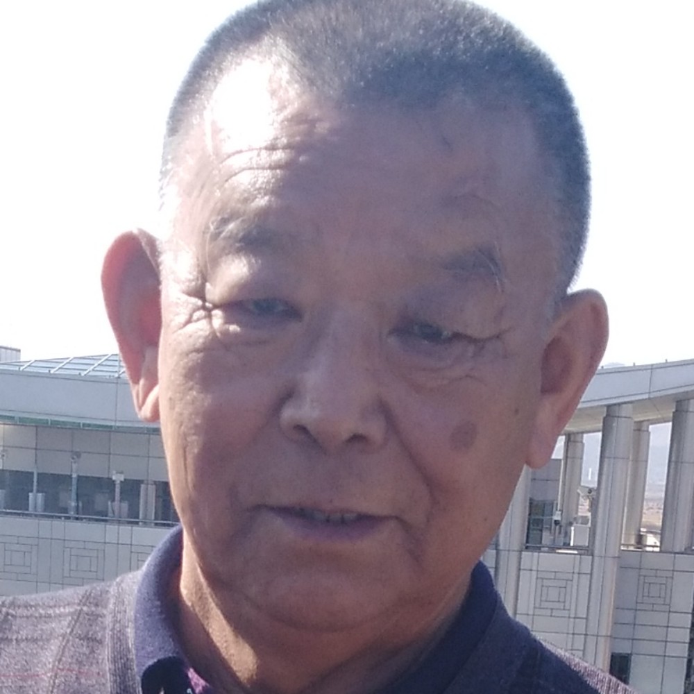 愤怒鸡的照片
