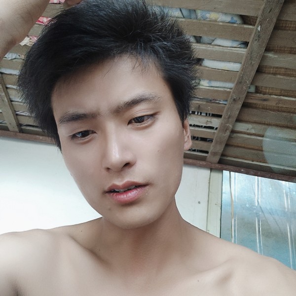枫叶演变落寂的照片